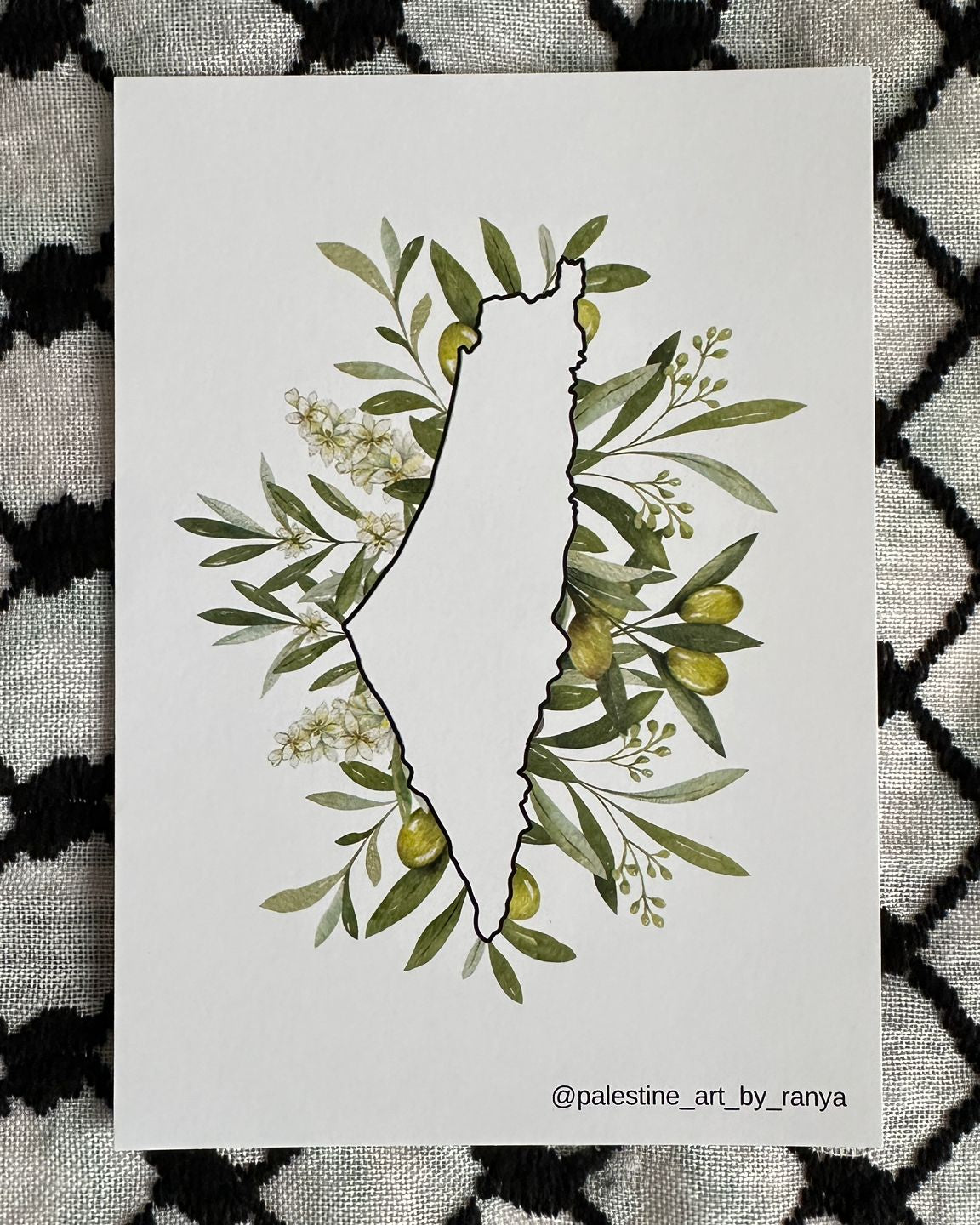 Postkarte Palästina Olivenzweige